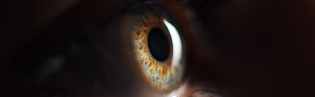EYES