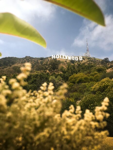 A captivating view of the Hollywood Sign with lush greenery in the foreground under a blue sky.