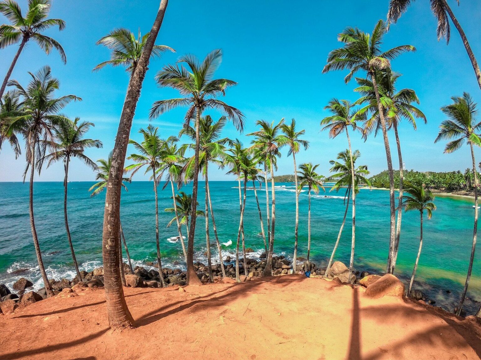 Voyage au Sri Lanka : Plages, Temples, Train Kandy-Ella et Conseils Pratiques palm trees on beach shore during daytime