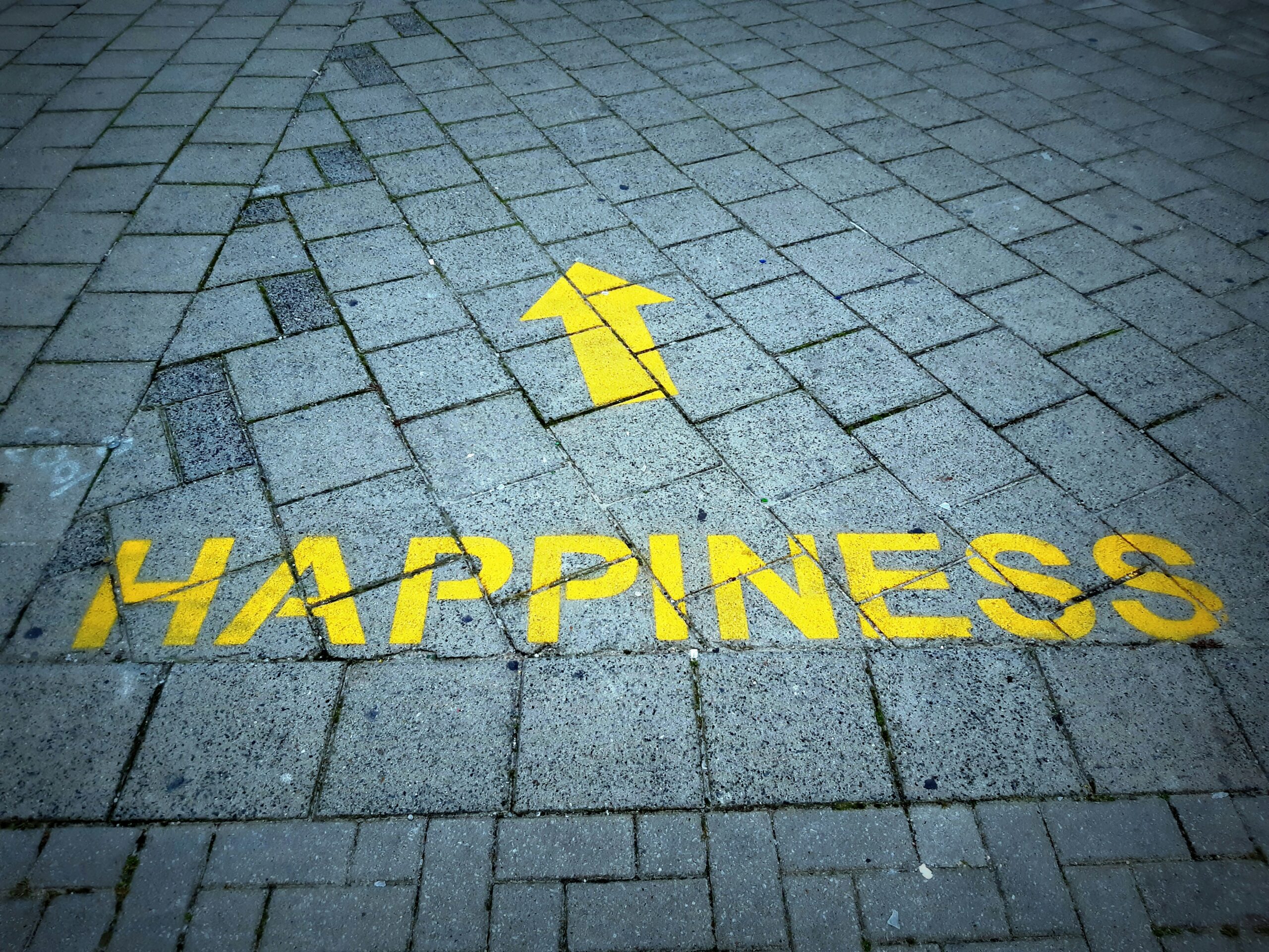 La tyrannie du sourire, comment le bonheur est devenu une obligation de résultat