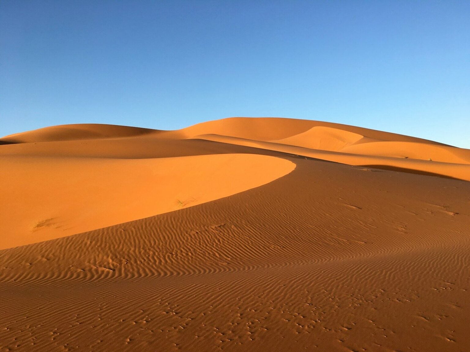 L’Enfant du Désert : histoire vraie ou conte de fées saharien ? brown desert under blue sky