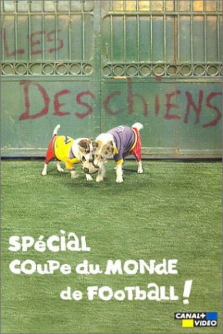 Coupe du monde : M6 et beIN, la pub en short de bain