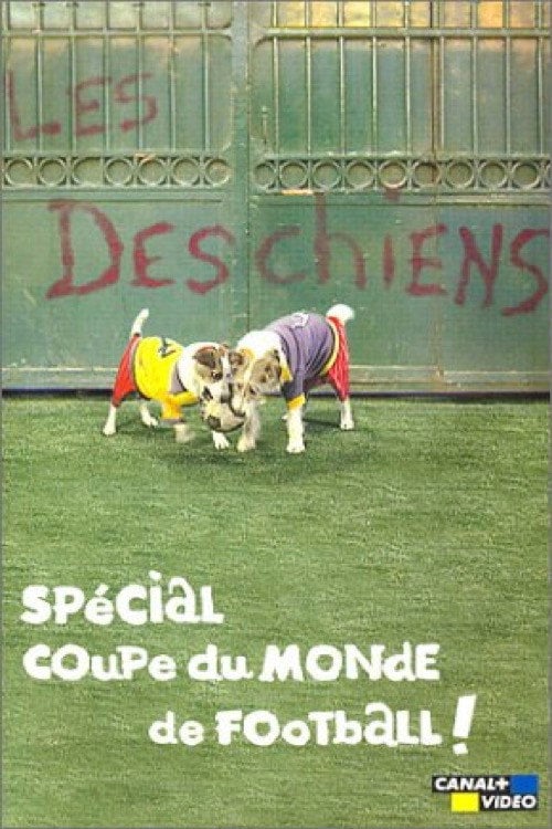 Coupe du monde : M6 et beIN, la pub en short de bain