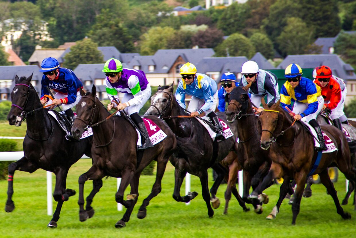 Pourquoi 16 à 18 partants, c'est la norme (et la lose)