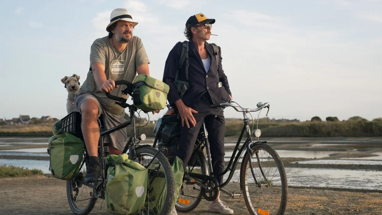 a biciclette