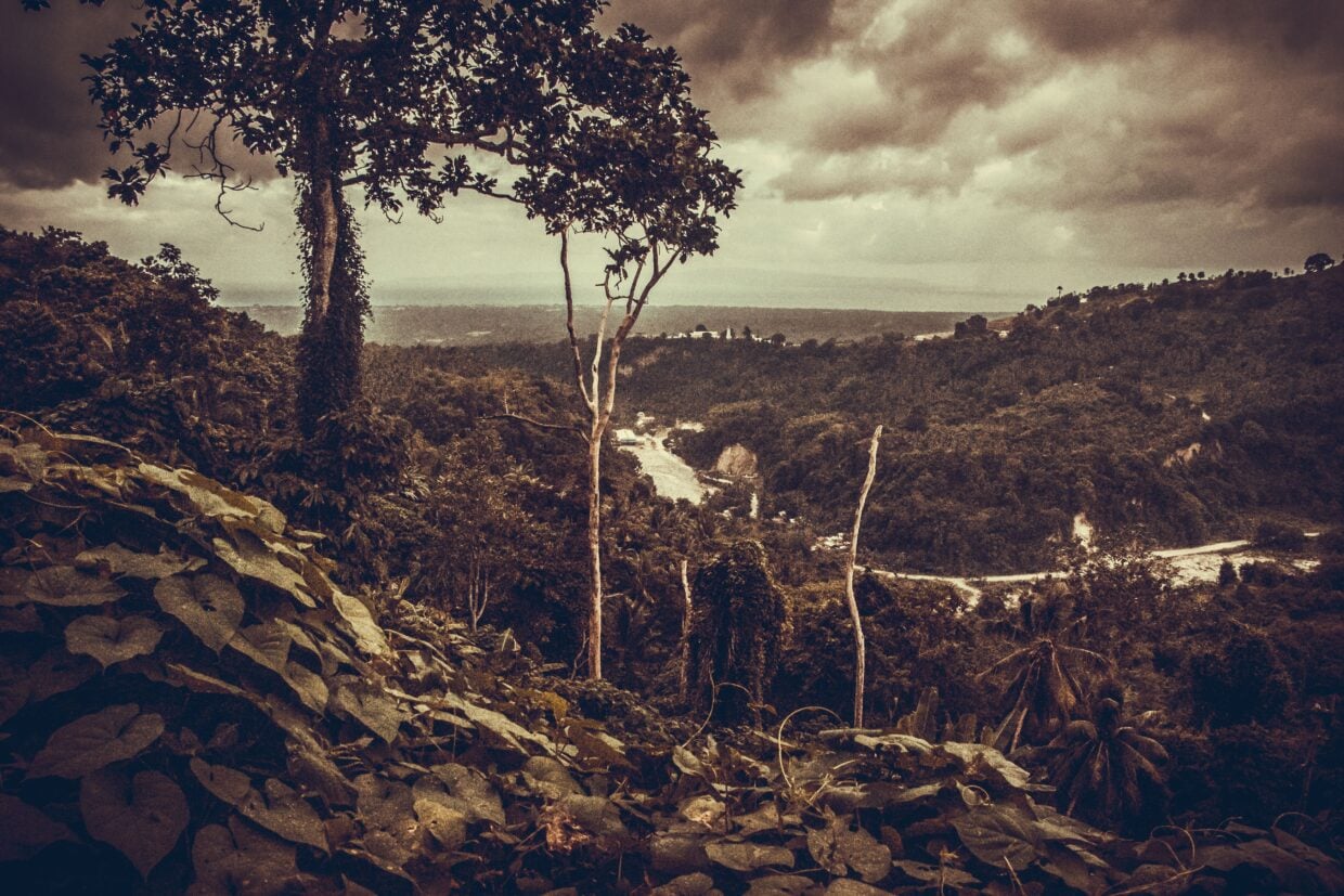 Negril, Kingston, Ocho Rios : le triangle pas si bermudé