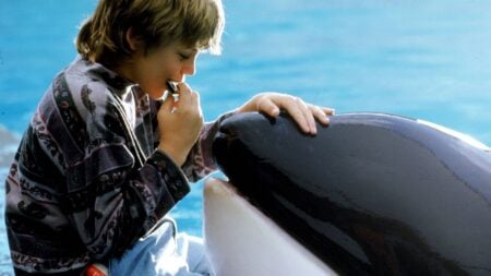 Warner Bros. prépare le reboot de Free Willy : le grand requin blanc du remake a encore faim