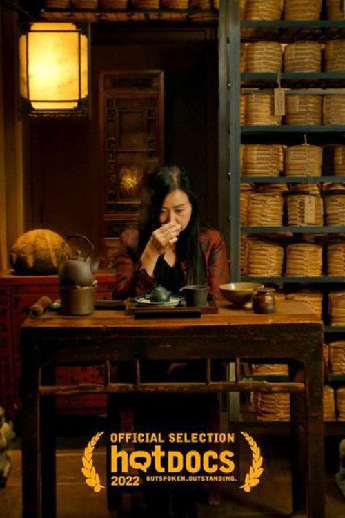 Anna Ostasenko Bogdanoff : quand le deuil devient matière de cinéma et d’archives