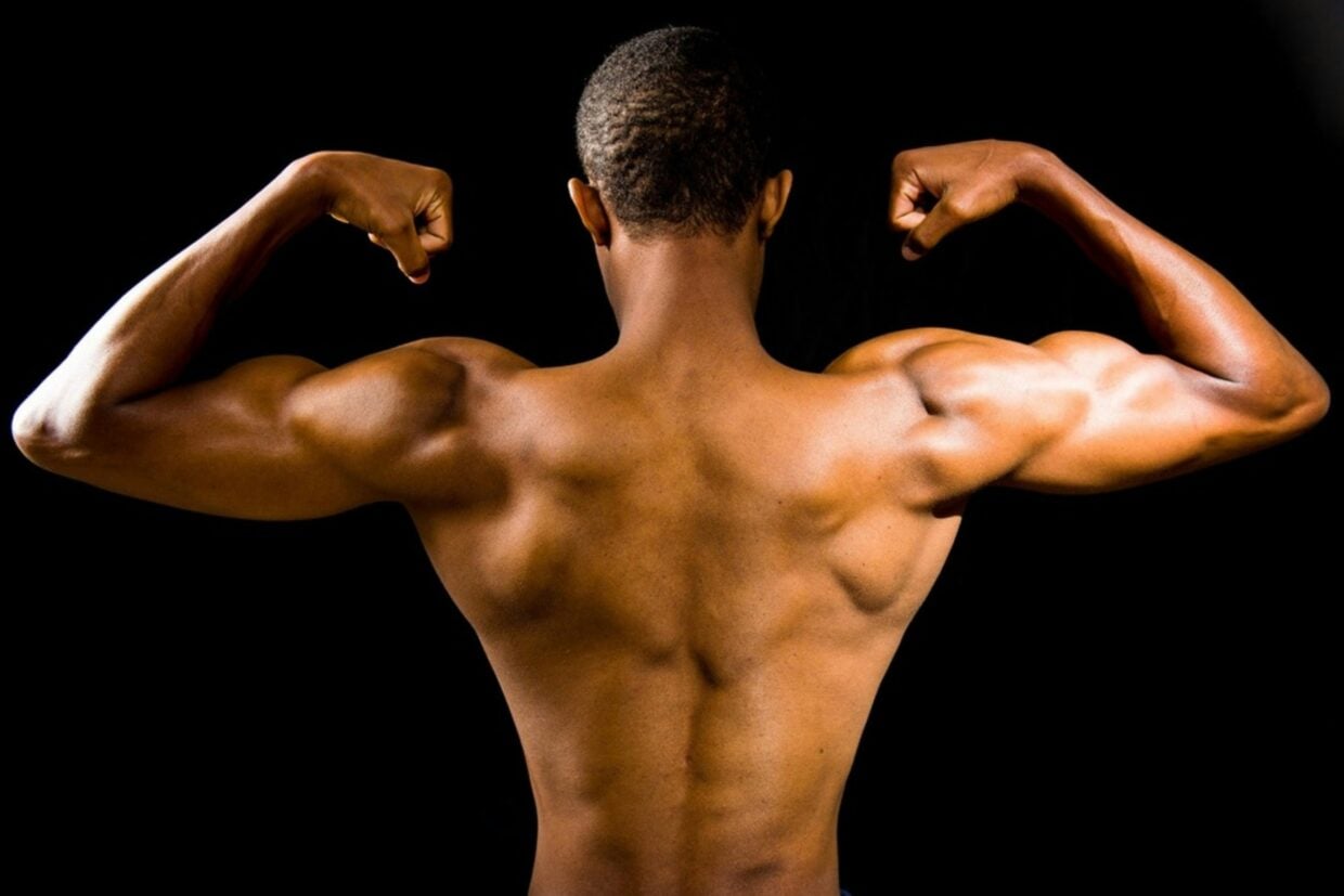 La masse musculaire ne prend pas de vacances