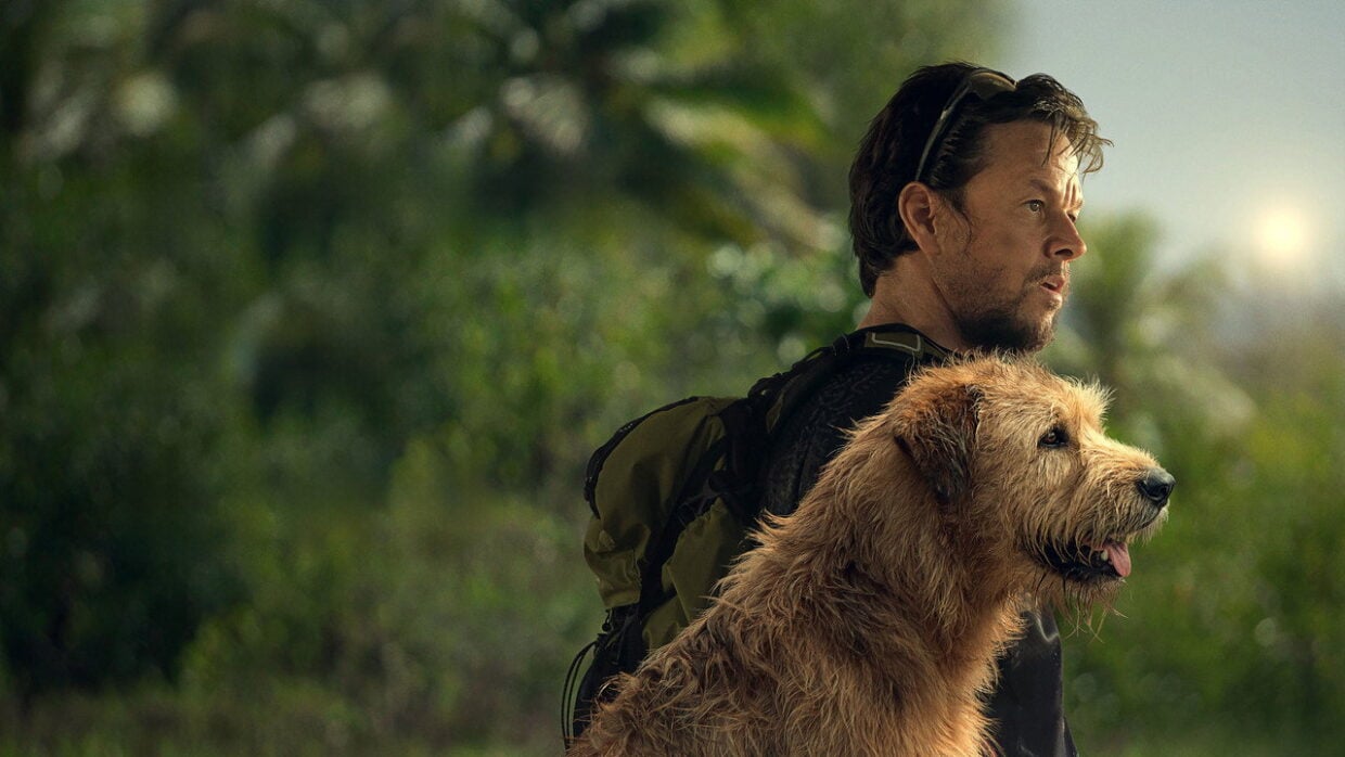 Arthur the King sur Netflix : Mark Wahlberg et son chien de fortune rejouent la belle mécanique du feel-good movie