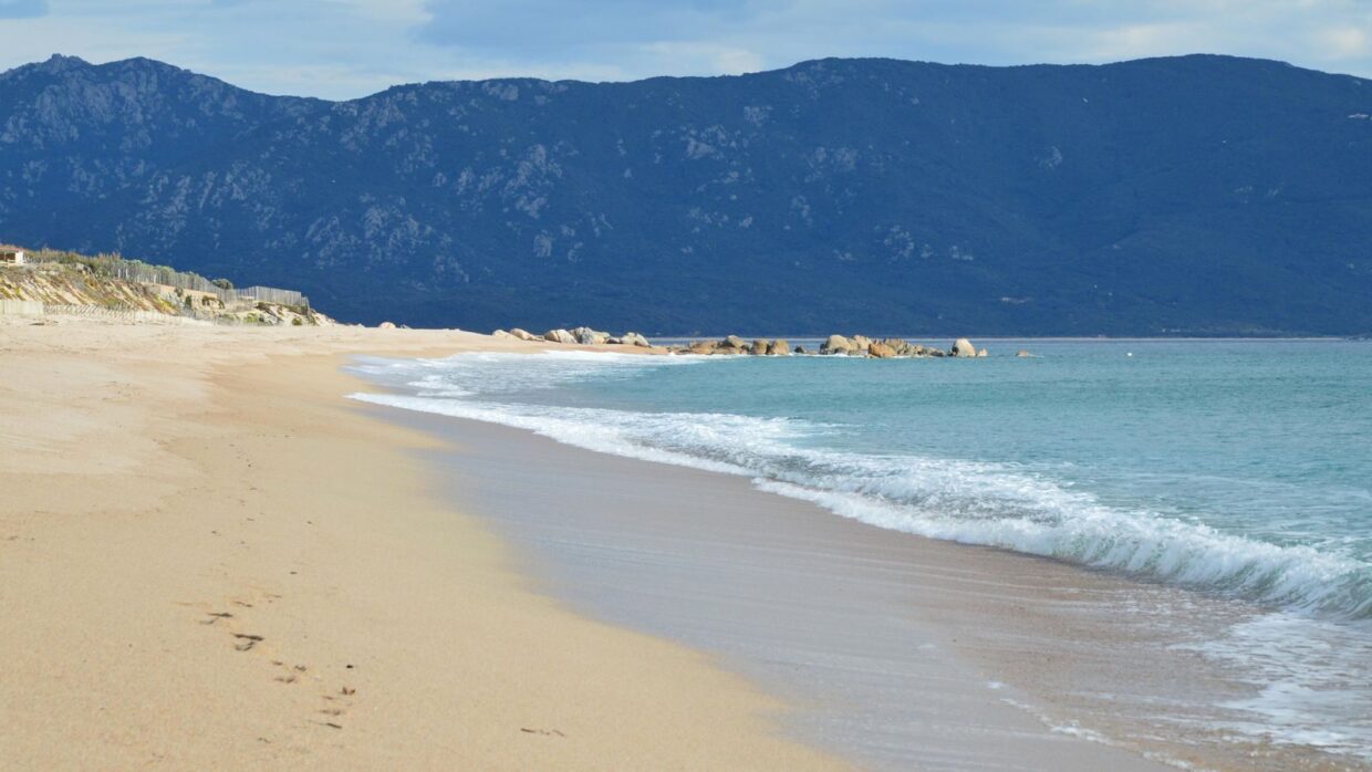 Experience the tranquil beauty of a sandy beach and majestic mountains in Olmeto, Corsica.