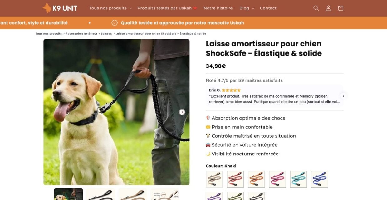 Laisse élastique chien anti-traction : le top 10 des meilleures marques en 2026