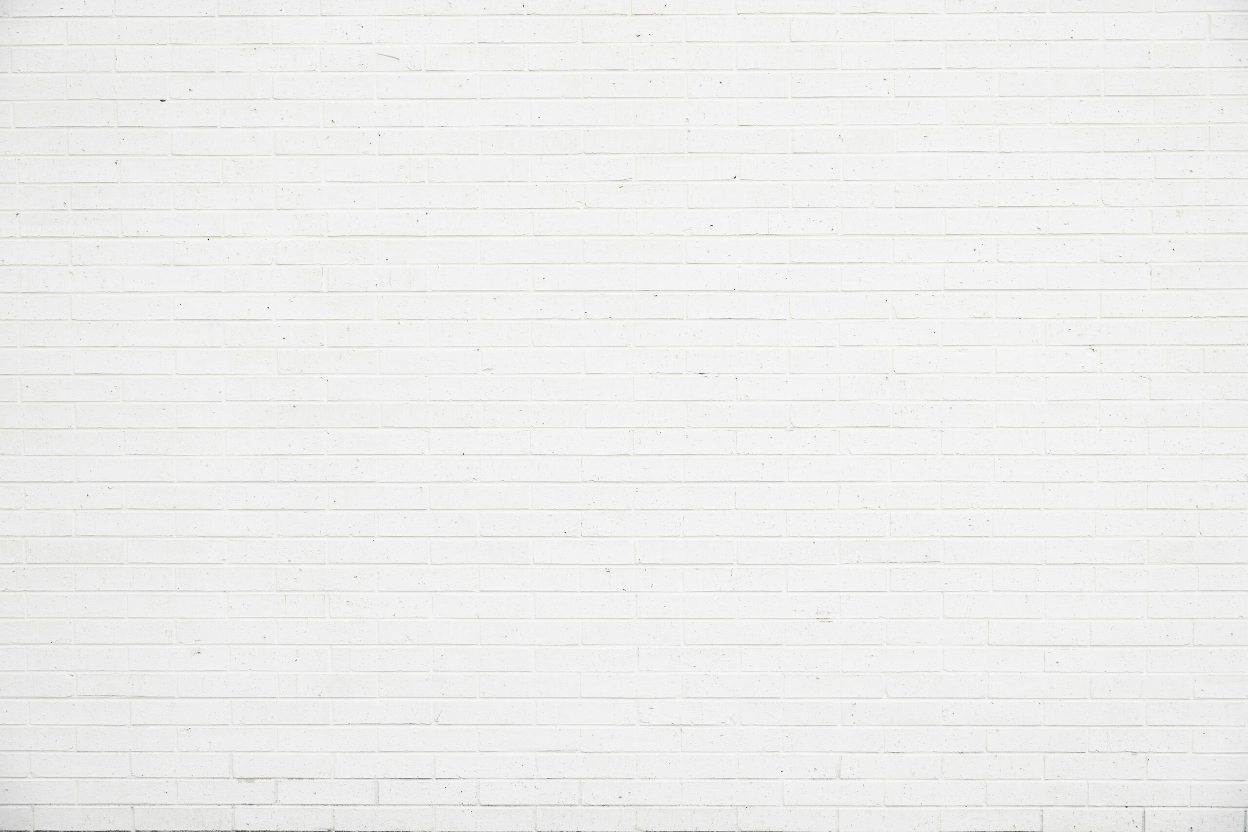 Le mur a son mot à dire