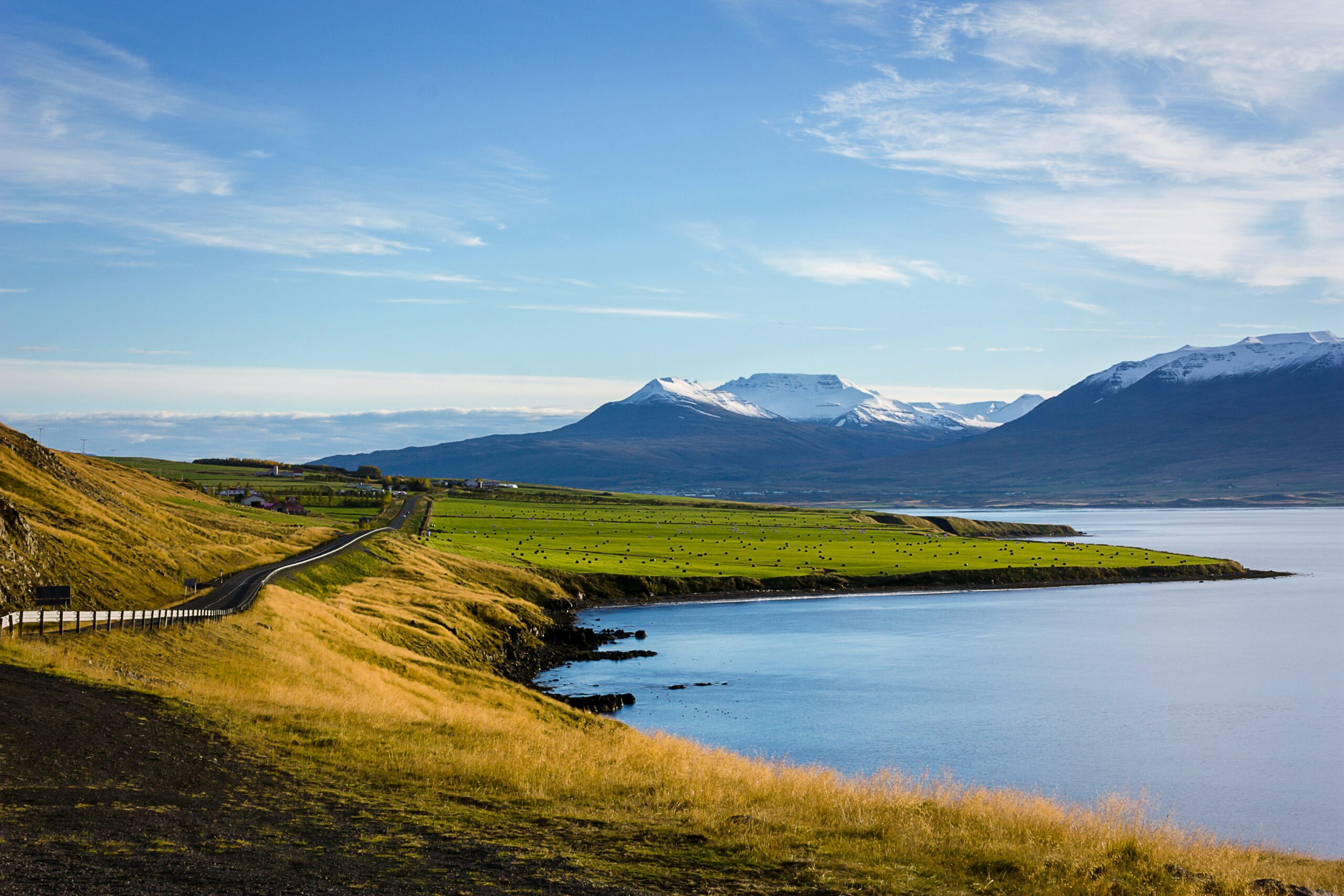 Pourquoi l’Islande donne au cinéma ce qu’aucun studio ne fabrique