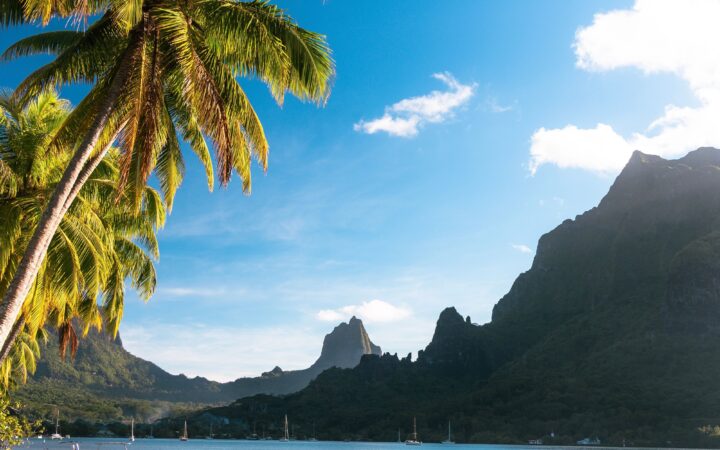 Breathtaking view of Moorea's lagoon with palm trees and majestic mountains under clear blue sky.