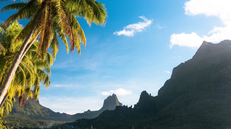 Breathtaking view of Moorea's lagoon with palm trees and majestic mountains under clear blue sky.
